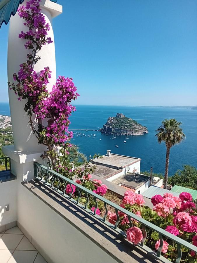 Bed and Breakfast La Pergola Del Torchio Isquia Exterior foto